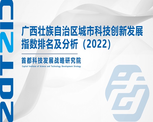 啊啊啊操好爽【成果发布】广西壮族自治区城市科技创新发展指数排名及分析（2022）